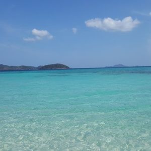 Meet your Posher, Paul